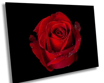 Red Rose Fine Art Print: Romantic Floral Photo on Black