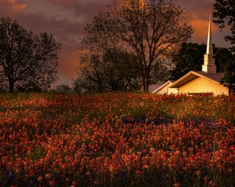 Texas Wildflower Sunset Print: Country Church, Indian Paintbrush, Bluebonnet Field