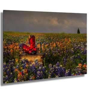 Lupini del Texas e stivali da cowboy, fotografia floreale di fiori selvatici primaverili, stampe artistiche naturalistiche su carta, tela, acrilico e pannelli in metallo, regalo