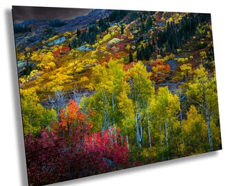 Big Cottonwood Canyon herfstkleuren foto: Utah herfstlandschap muurkunst