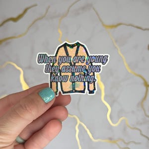 Cuando eres joven, dan por sentado que no sabes nada / Pegatinas / Letras / Regalos / Merchandising / Pegatinas para portátil / Pegatinas para Kindle