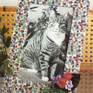 May include: A rectangular photo frame with a floral pattern of red and blue berries on a cream background. The frame holds a black and white photo of a tabby cat. A small bouquet of flowers is attached to the frame.