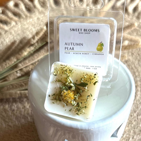 STRONG Wax Melt Mini's | Made with Botanicals  | For Wax Warmers
