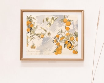 Aquarelle vintage oranges agrumes | Décoration de cuisine de campagne antique | Art imprimable en téléchargement numérique | Arbres fruitiers Verger