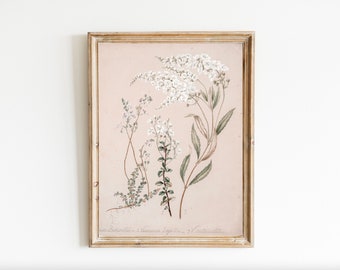 Neutre Botanique vintage Aquarelle Cottage Core Esthétique Plantes Fleurs Floral Téléchargement numérique Wall Art Antique imprimable