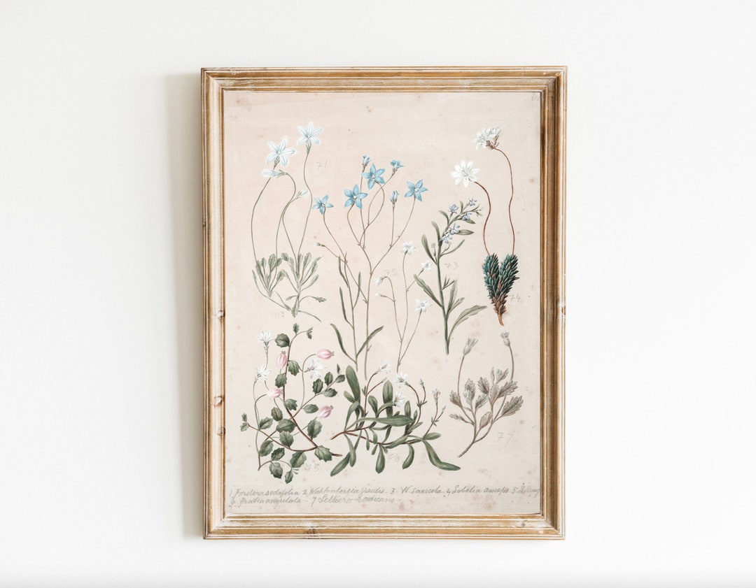 Vintage Botanical Watercolor Print, Antique Plant Art (digital Download ...