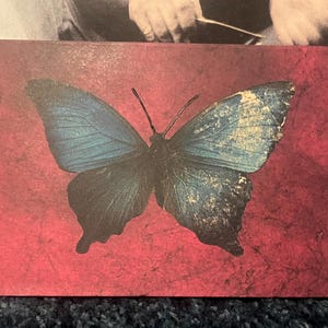 Butterfly handmade art card