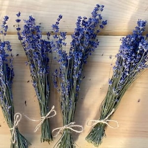 Dried Lavender Mini-Bunches