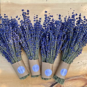 Dried English Lavender Bouquets - From our Farm to You