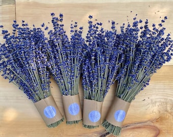 Bouquets de lavande anglaise séchée