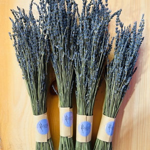 Dried French Lavender Bouquet - From our Farm to You