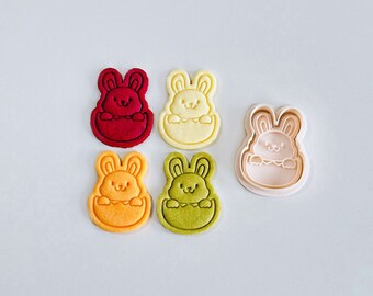 Bunny in Egg Cookie Cutter | Easter Rabbit Cookie Cutter Stamp Set | Animal Fondant Molds | 3D Printed