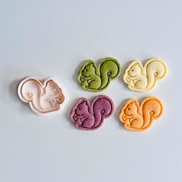 Squirrel Cookie Cutter | Fall Animals Cookie Cutter Stamp Set | Squirrel Fondant Molds | 3D Printed