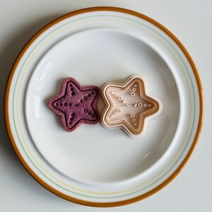 May include: Two star-shaped cookies on a white plate with a brown rim. One cookie is a light brown colour and the other is a deep purple colour.