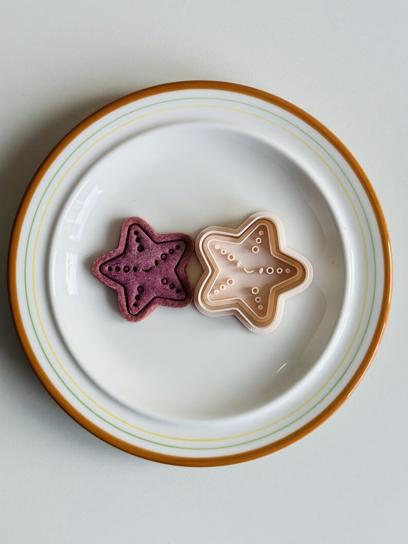 May include: Two star-shaped cookies on a white plate with a brown rim. One cookie is a light brown colour and the other is a deep purple colour.