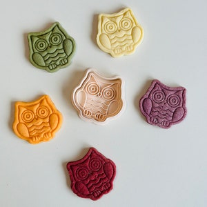 May include: Six owl-shaped cookies in various colors, including green, yellow, orange, purple, and red. The cookies are arranged in a circle on a white surface. A plastic owl cookie cutter is in the center of the circle.