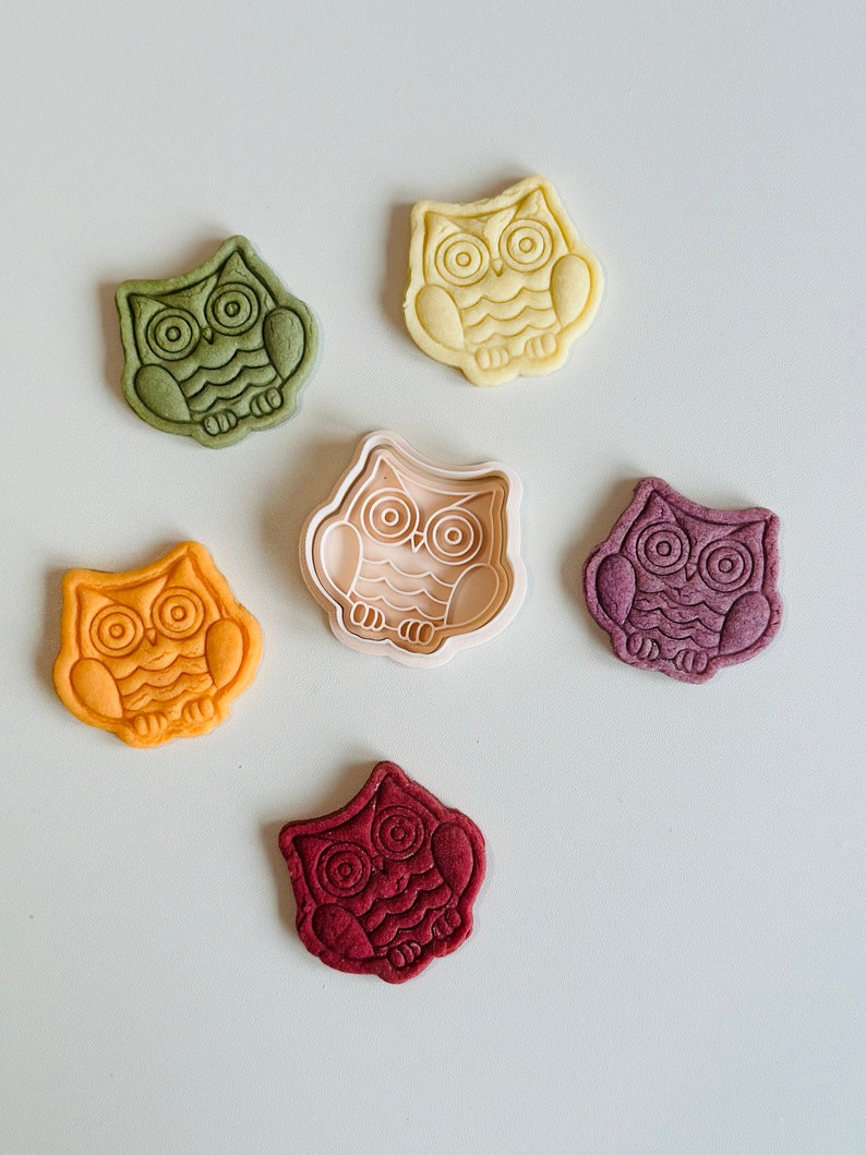 May include: Six owl-shaped cookies in various colors, including green, yellow, orange, purple, and red. The cookies are arranged in a circle on a white surface. A plastic owl cookie cutter is in the center of the circle.