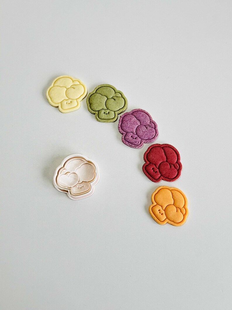 May include: A set of six cookie cutters in the shape of a broccoli floret. The cutters are in various colors, including yellow, green, purple, red, and orange. The cutters are arranged in a semi-circle on a light gray background.