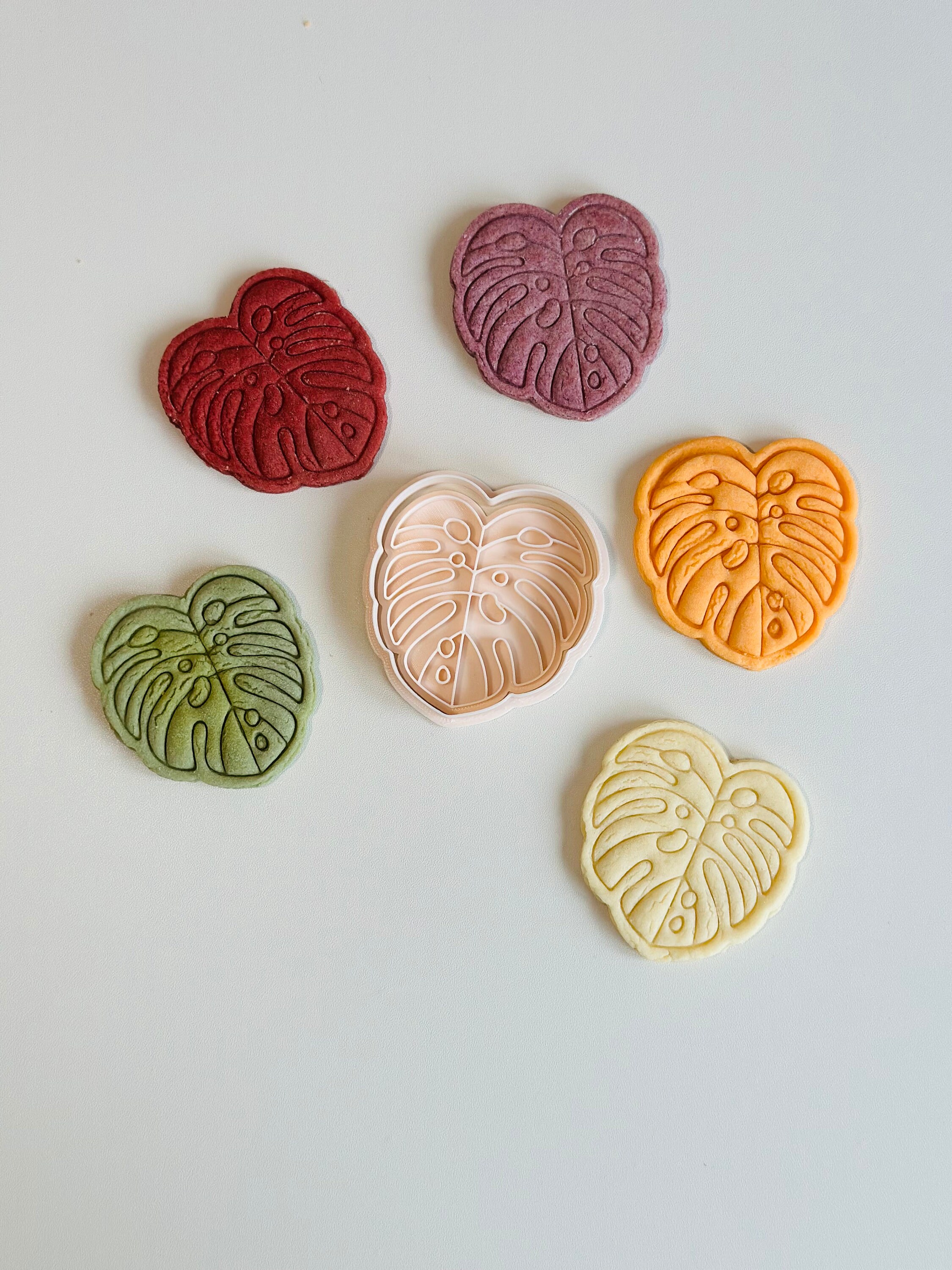 Leaf Cookie Cutter - Tropical Monstera Leaf Cookie Cutter Stamp Set ...