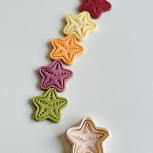 May include: A set of six colourful star-shaped cookies arranged in a line, with a white plastic cookie cutter in the shape of a star at the bottom of the image.
