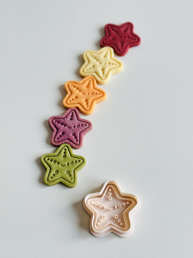 May include: A set of six colourful star-shaped cookies arranged in a line, with a white plastic cookie cutter in the shape of a star at the bottom of the image.
