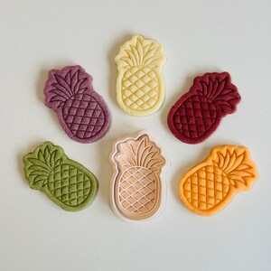 May include: Six pineapple-shaped cookies in various colors, including green, yellow, orange, red, and purple, with a white pineapple cookie cutter in the center.