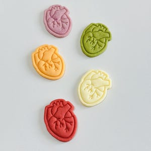 May include: Five heart-shaped cookies in different colors: pink, green, orange, yellow, and red. Each cookie has a detailed anatomical heart design.