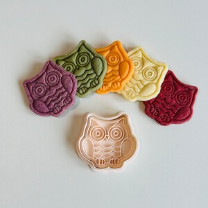 May include: Five colorful owl-shaped cookies with a white plastic owl cookie cutter. The cookies are purple, green, orange, yellow, and red.