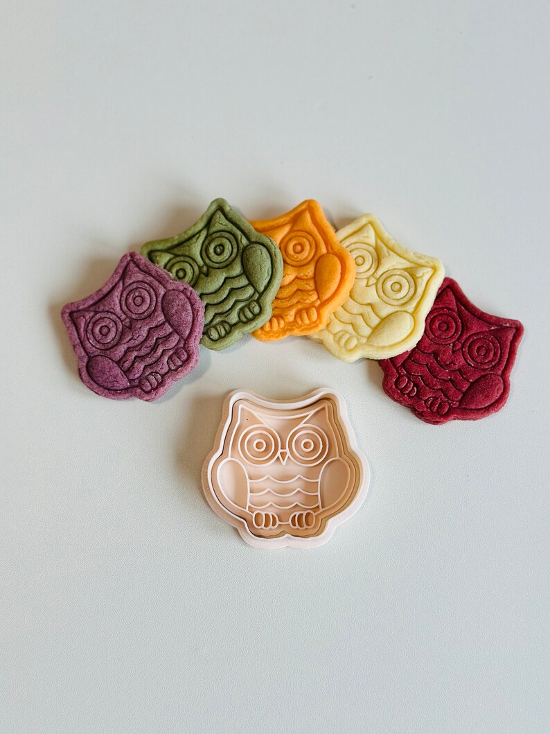 May include: Five colorful owl-shaped cookies with a white plastic owl cookie cutter. The cookies are purple, green, orange, yellow, and red.