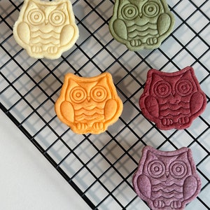 May include: Five owl-shaped cookies on a black wire rack. The cookies are different colors: yellow, green, orange, red, and purple.