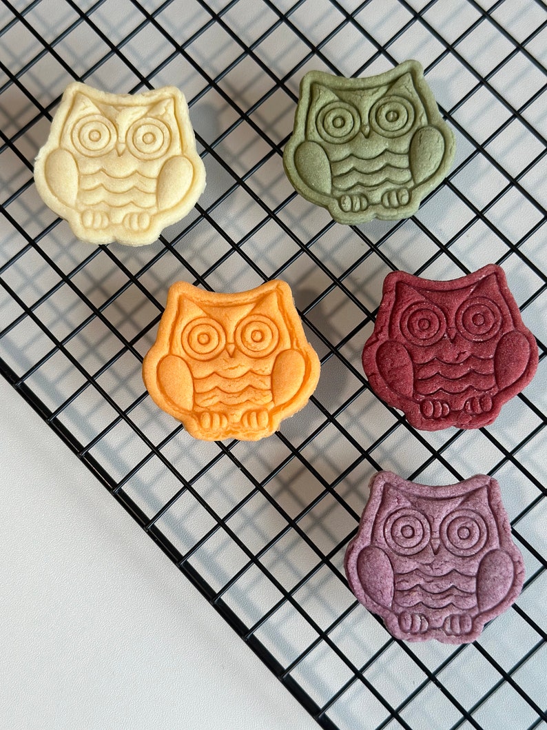 May include: Five owl-shaped cookies on a black wire rack. The cookies are different colors: yellow, green, orange, red, and purple.