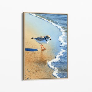 May include: A framed watercolour painting depicting a small plover bird standing on a sandy beach at the water's edge. The bird has grey and white feathers with bright orange legs, positioned where the blue ocean waves meet the tan sand.