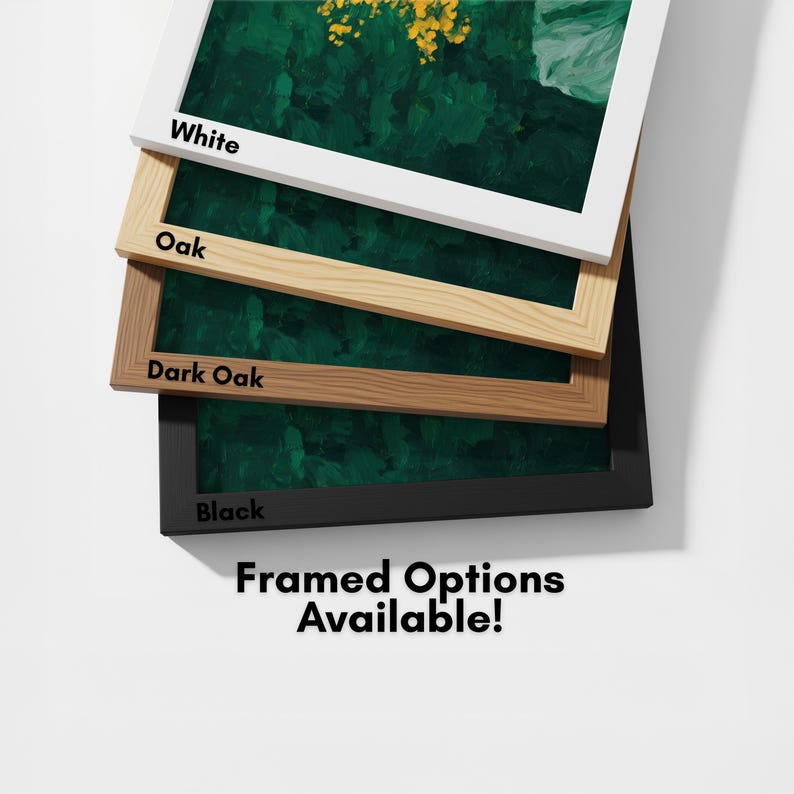 a collection of framed options available for purchase, with each frame having a different color and design.
