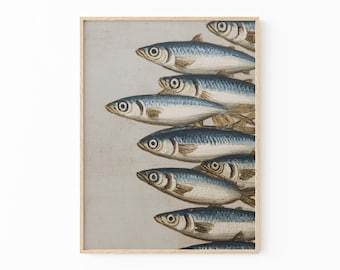 Sardines Painting Print | French Kitchen Wall Art | Still Life Oil Painting for Coastal Decor | WWG4