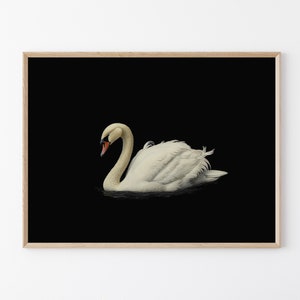Antique Swan Painting Print | Black Neutral Wall Art Large Wall Art | Minimalist Vintage Swan Print | Oil Painting Print
