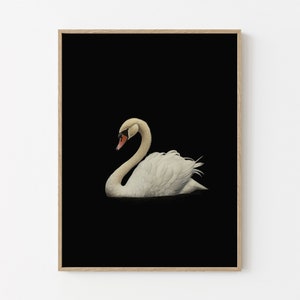 Antique Swan Painting Print | Black Neutral Wall Art Large Wall Art | Minimalist Vintage Swan Print | Oil Painting Print