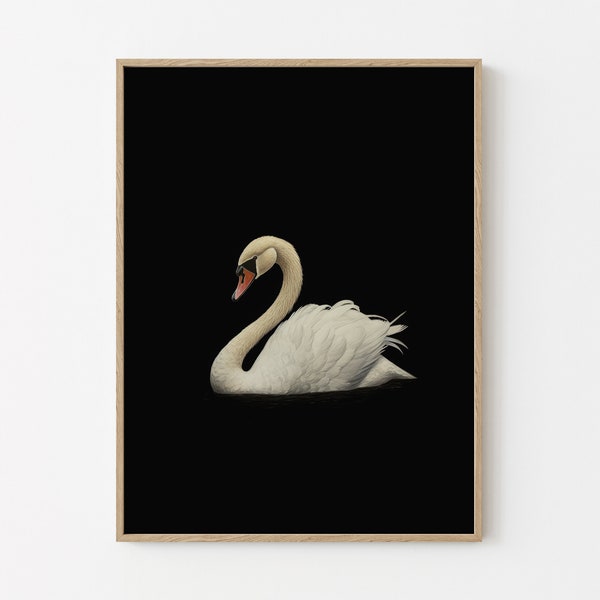 Antique Swan Painting | Black Neutral Wall Art Large Wall Art | Minimalist Vintage Swan Print | Oil Painting Print