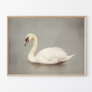 Antique Swan Painting Print | Grey Neutral Wall Art Large Wall Art | Minimalist Vintage Swan Print | Oil Painting Print