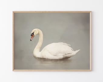 Antique Swan Painting | Grey Neutral Wall Art Large Wall Art | Minimalist Vintage Swan Print | Oil Painting Print