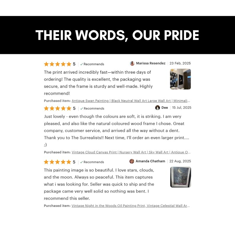 a screen shot of a website page with the words, their words, our pride