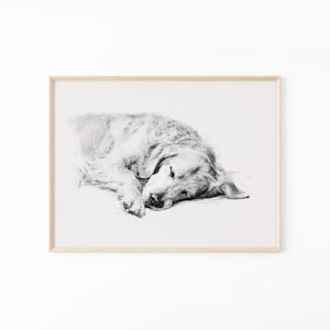 May include: A black and white pencil sketch of a dog lying down in a resting position, captured within a light-colored wooden frame. The artwork features detailed shading and line work that depicts the fur texture and facial features of the animal.