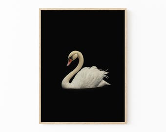 アンティークスワンの絵画プリント | ブラックニュートラルウォールアート 大型ウォールアート | ミニマリストヴィンテージスワンプリント | 油絵プリント