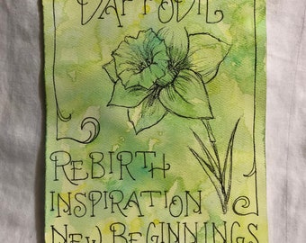 Daffodil Drawing