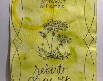 Dandelion Drawing