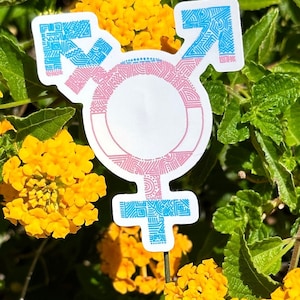 Trans Symbol Sticker | Pride Sticker | Queer Sticker | Rainbow | LGBTQ+ | Laptop Sticker | Water Bottle Stickers | Planner Sticker