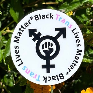 Black Trans Lives Matter Sticker | Pride Sticker | Queer Sticker | LGBTQ+ | Laptop Sticker | Water Bottle Stickers | Planner Sticker