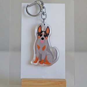 May include: A clear acrylic keychain featuring a cartoon illustration of a blue heeler dog. The dog has gray fur, orange markings, and a pink tongue. The keychain has a silver clasp and is displayed on a white card.