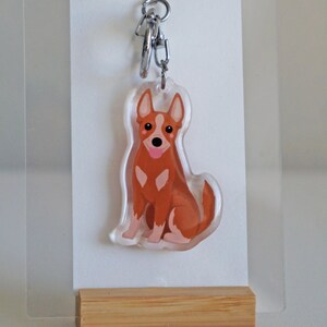 May include: A clear acrylic keychain featuring a cartoon-style dog in shades of brown and white. The dog is sitting with its tongue sticking out. The keychain has a silver-colored metal clasp.