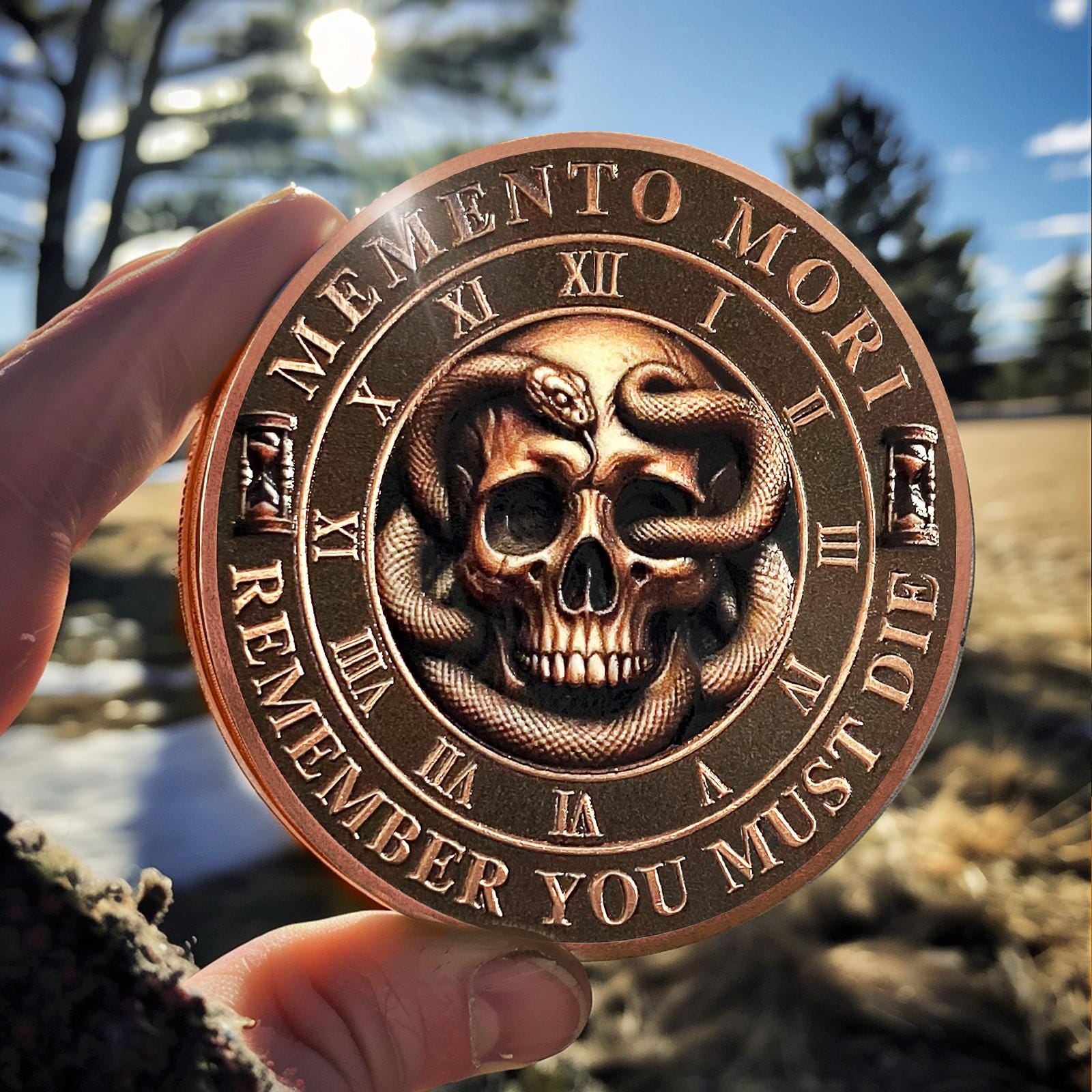 Memento Mori Coin: Snake & Skull Challenge Token - Stoic Reminder