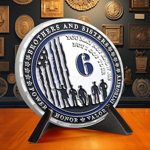 Police Officer Challenge Coin - Thin Blue Line Challenge Coins - I Got Your Six - Police Department Gift for Him/ Her/ Dad/ Son/ Husband